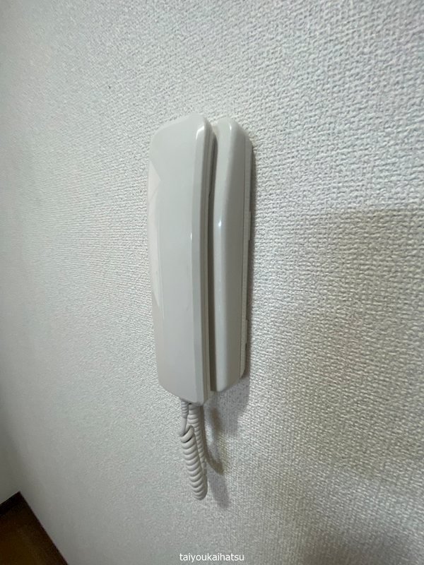 ディスポートⅠ その他5