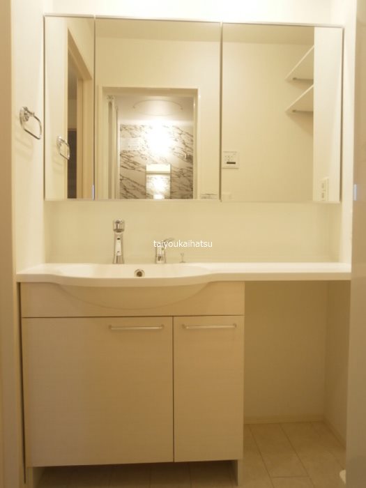 フェリシア その他2