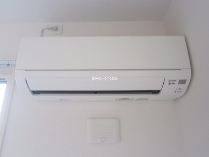 フェリシア その他5