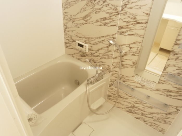 フェリシア 風呂画像