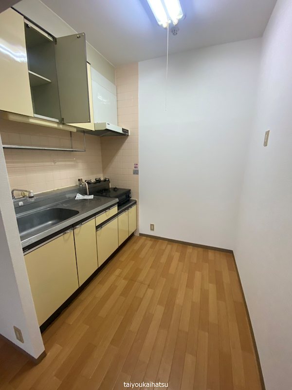 DELPHI鴨池Ⅰ キッチン