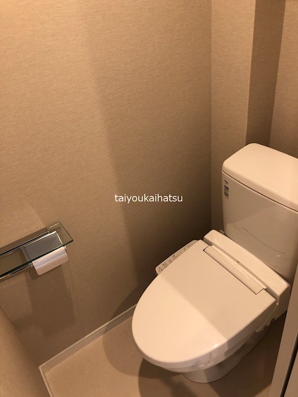 イリスパイラブライト　武之橋アイル トイレ