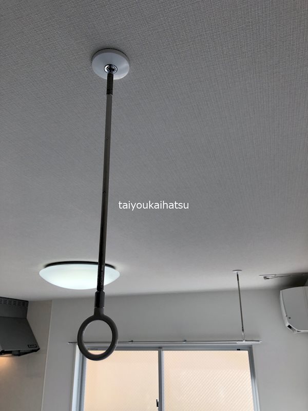 イリスパイラブライト　武之橋アイル その他