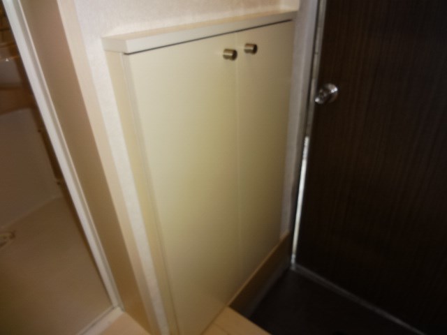 ペアアサイＢ その他