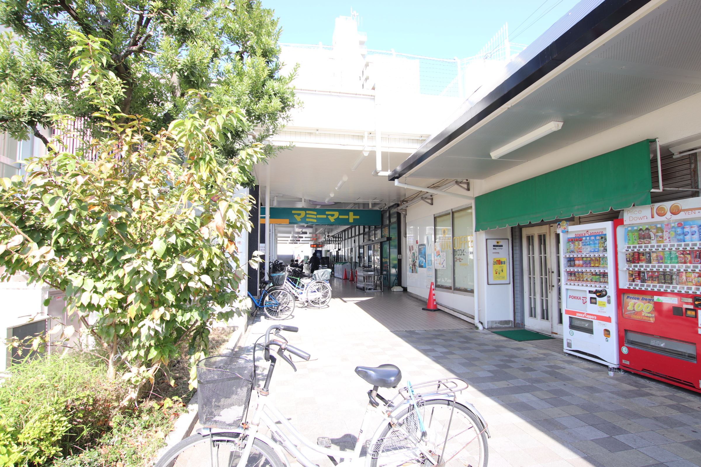 グランオルム スーパー