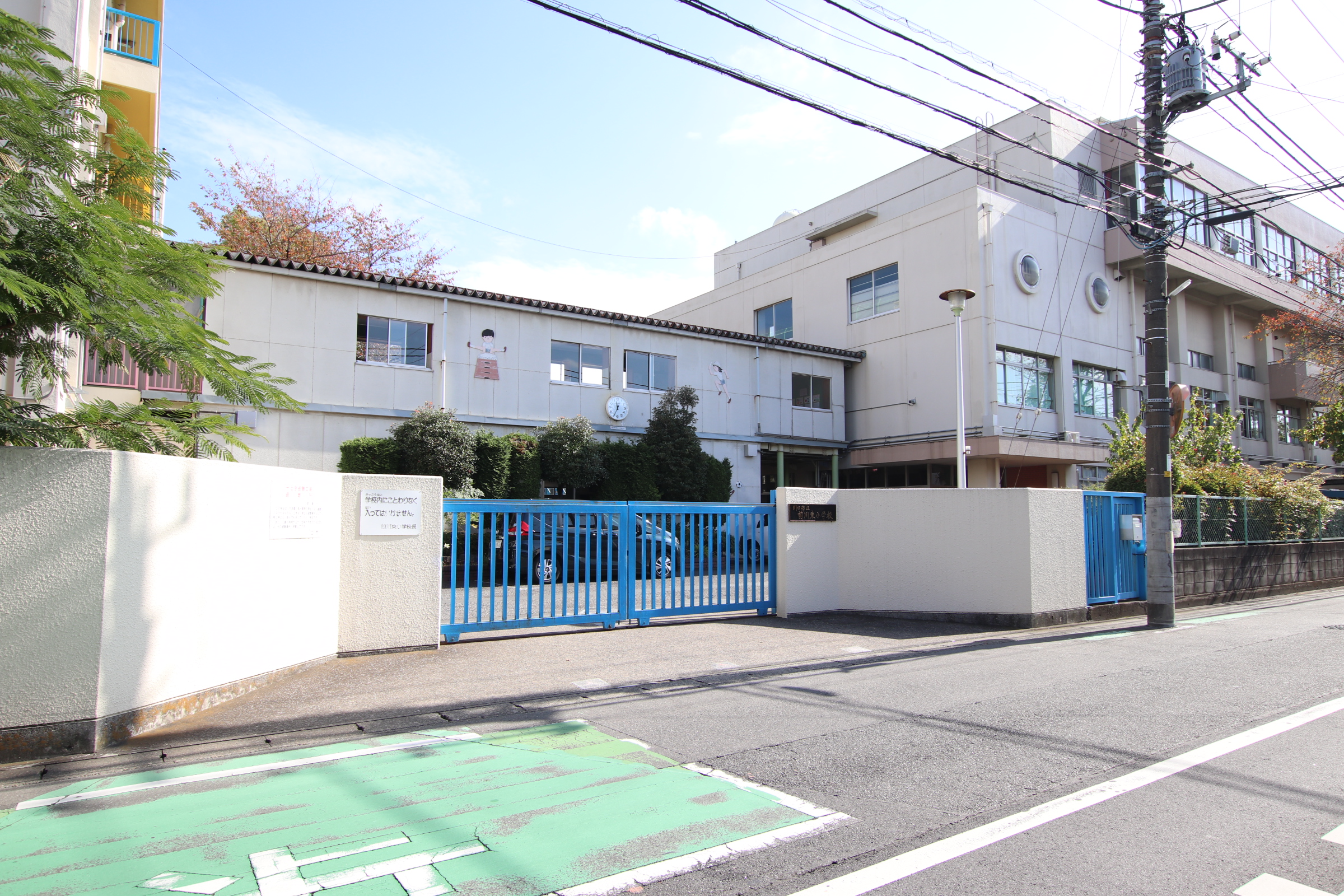 ベルツ 小学校