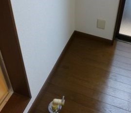 その他4