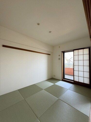 その他16