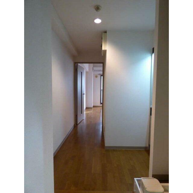 その他13