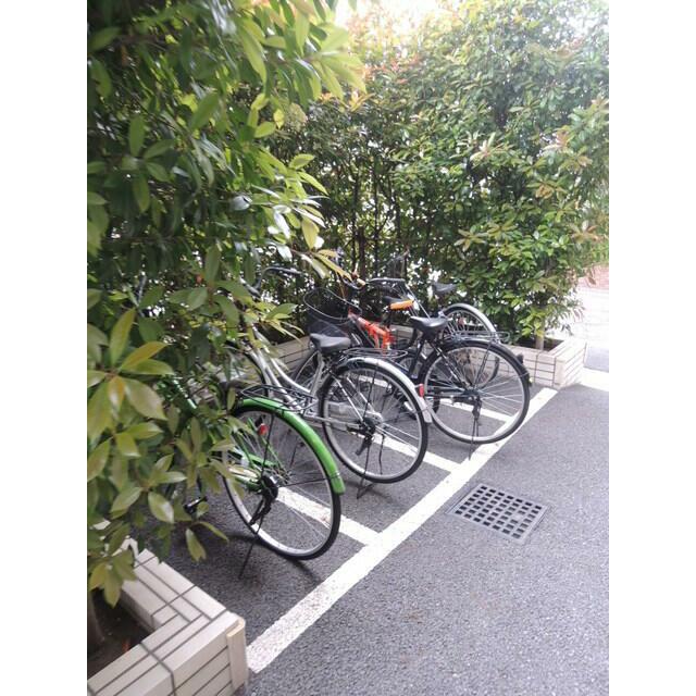 その他11