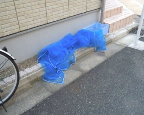 その他12