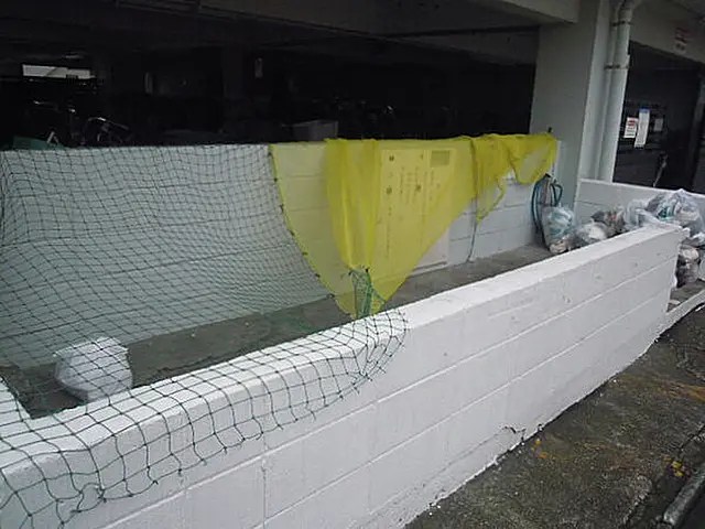 その他7