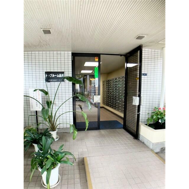 その他11