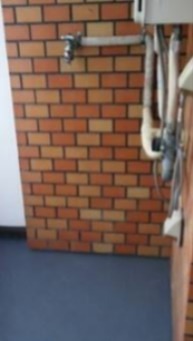 その他11