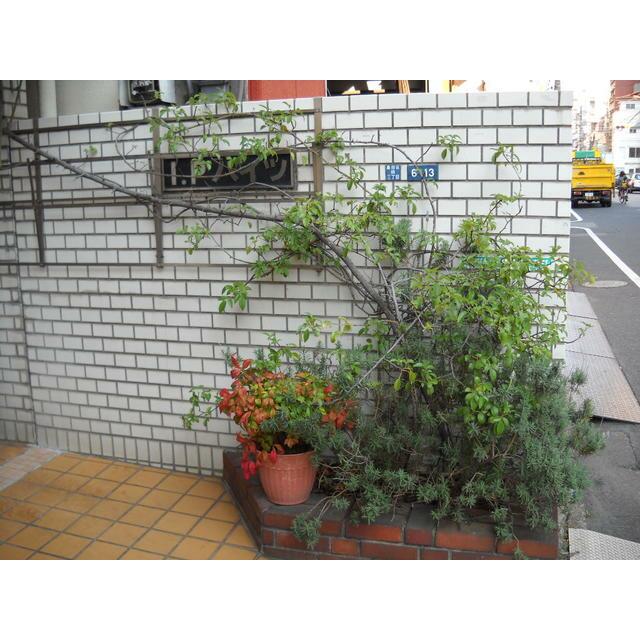 その他9