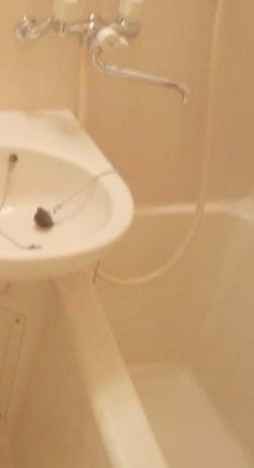 風呂画像