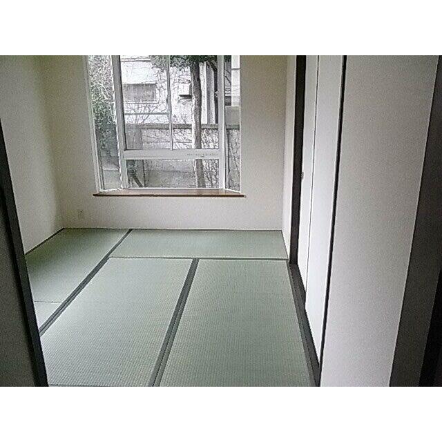 その他10
