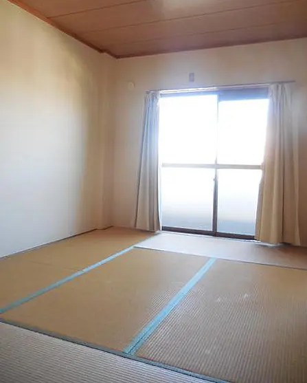 その他7
