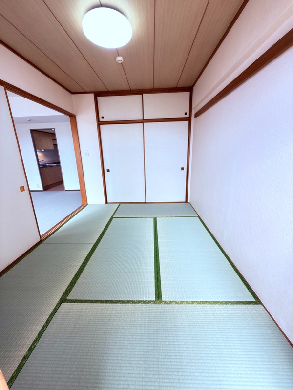その他10