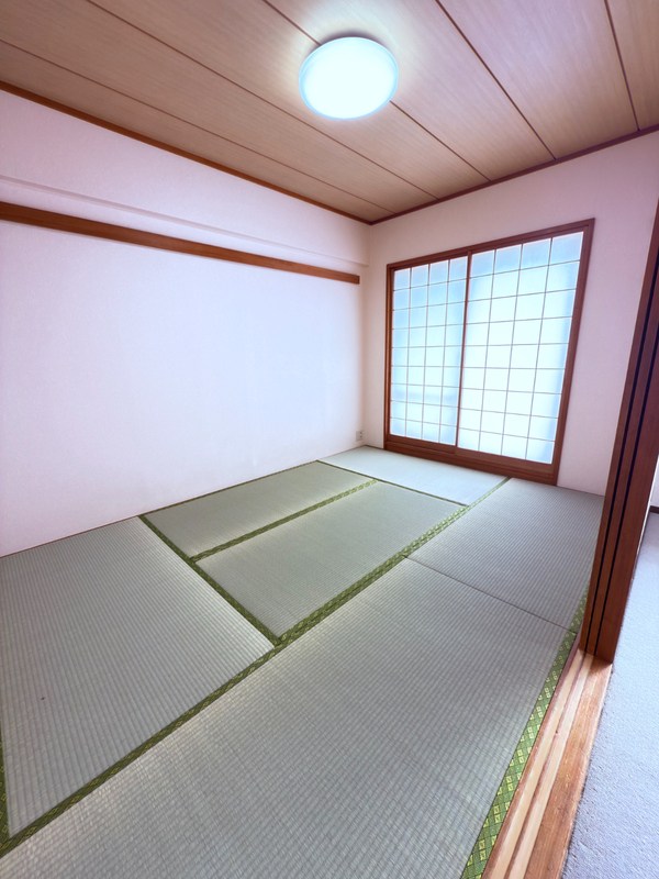 その他11