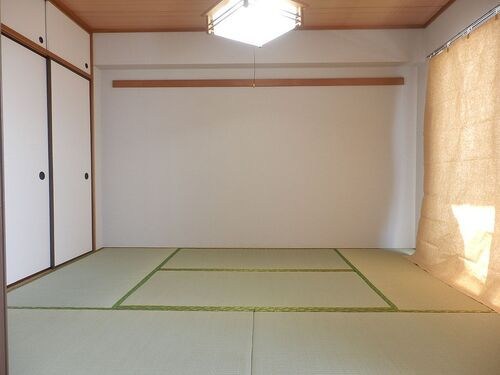 その他12