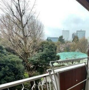 その他11