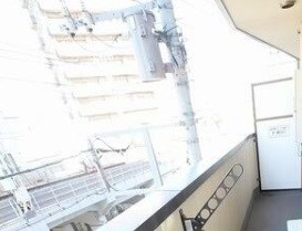 その他9