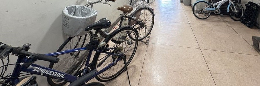 その他11