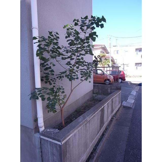 その他20