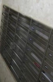 その他11