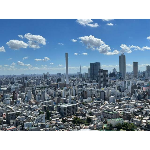 その他11