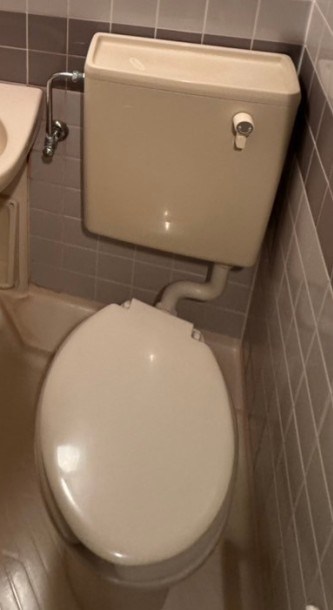 その他7