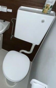 その他11