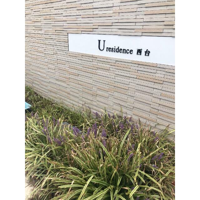 その他12