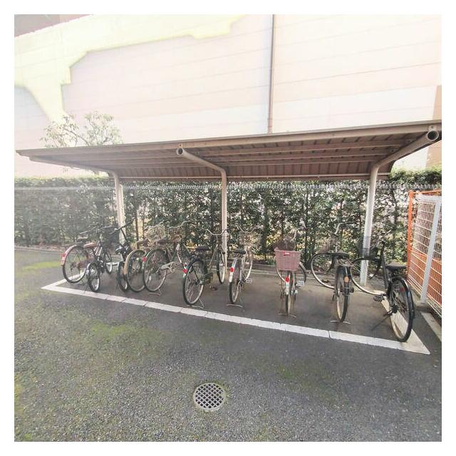 その他12