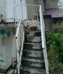 その他12