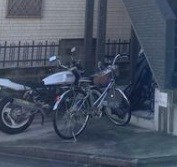 その他11