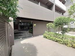 その他11