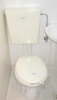 その他11