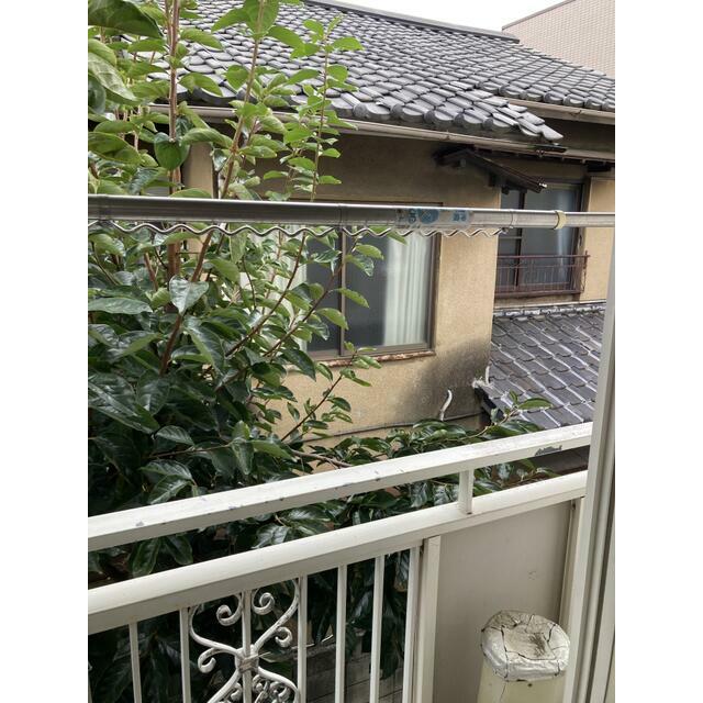 その他10