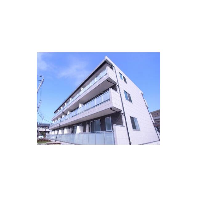 その他11