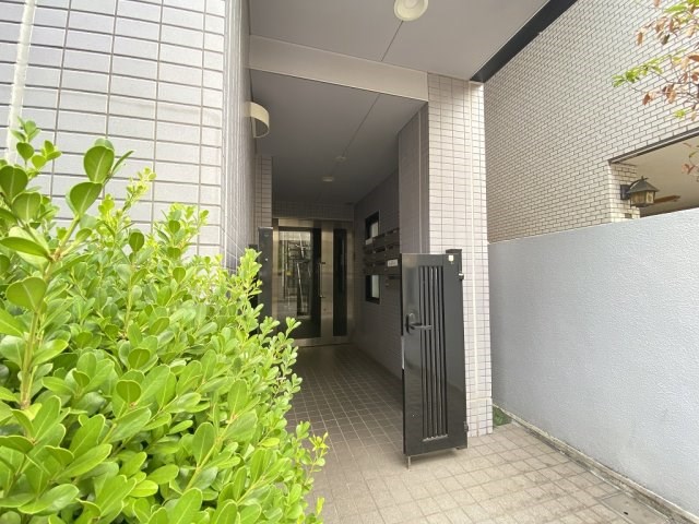 その他11