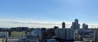 その他11