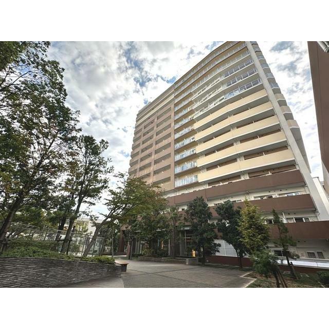 その他11