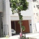 その他12