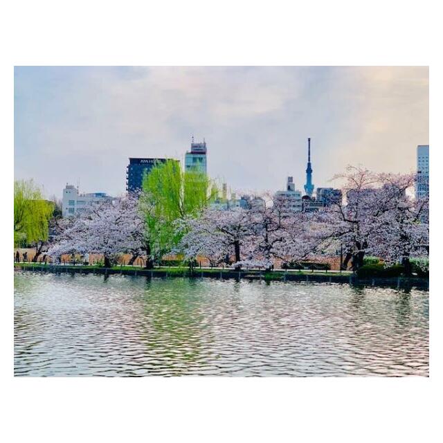その他23
