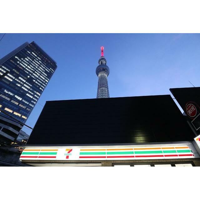 その他24