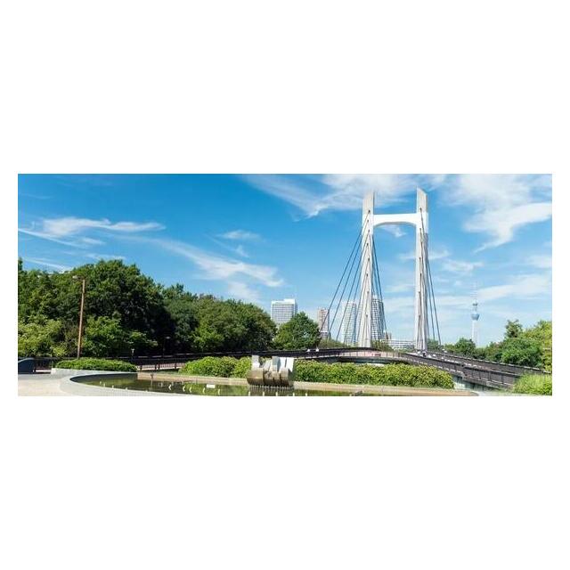 周辺画像5