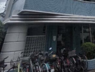 その他13