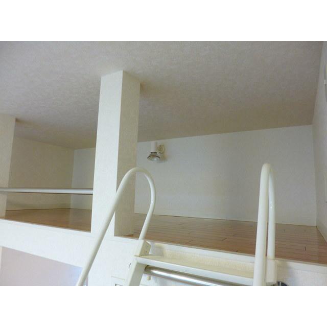 その他11